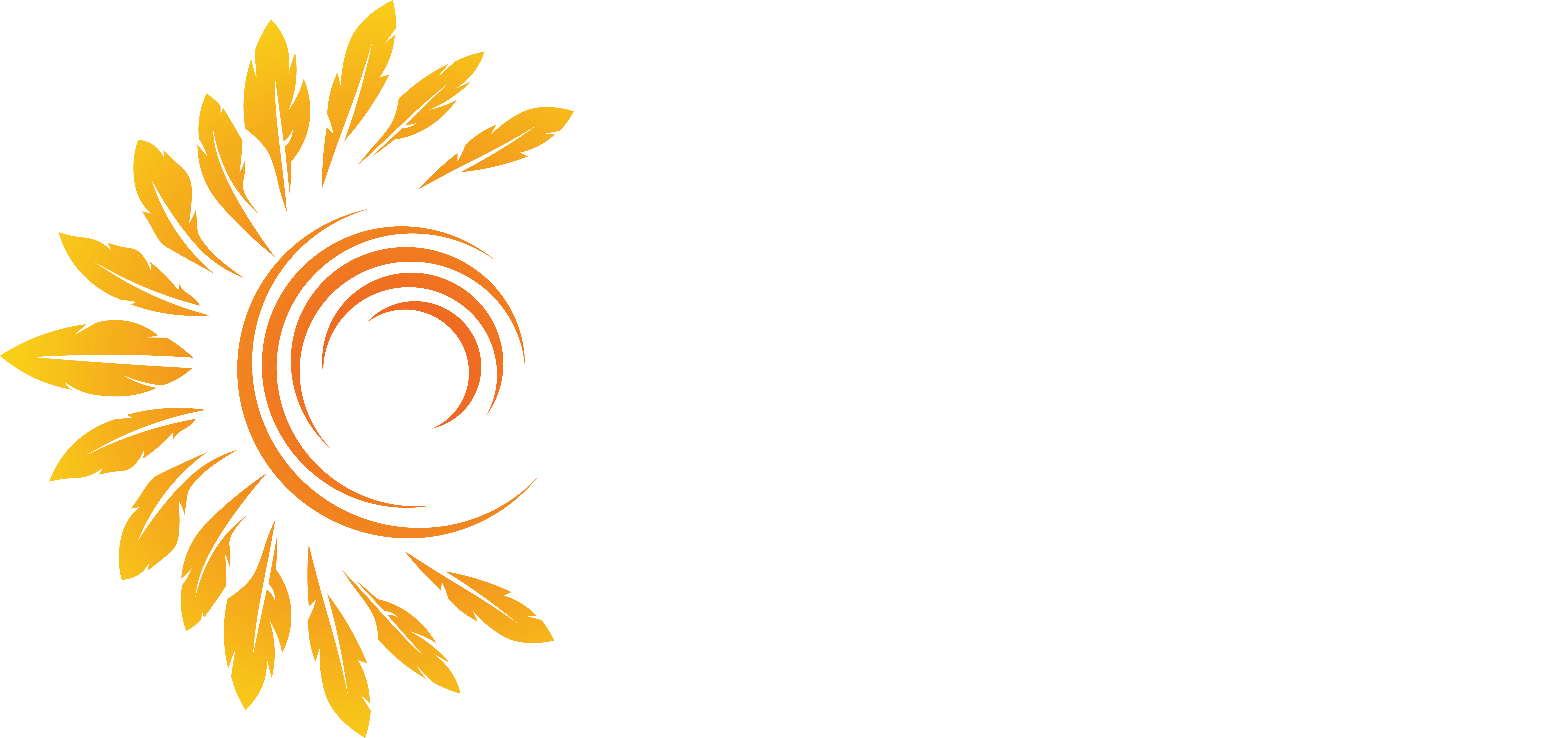 Native Energy Solutions 